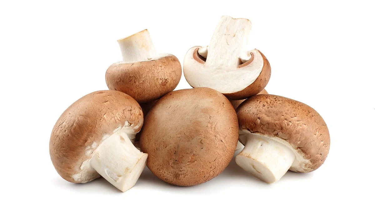 Button-Mushrooms shrooms Button-Mushrooms shrooms