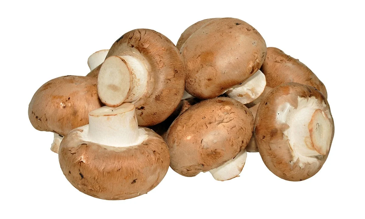 Chestnut-Mushrooms-shrooms Chestnut-Mushrooms-shrooms