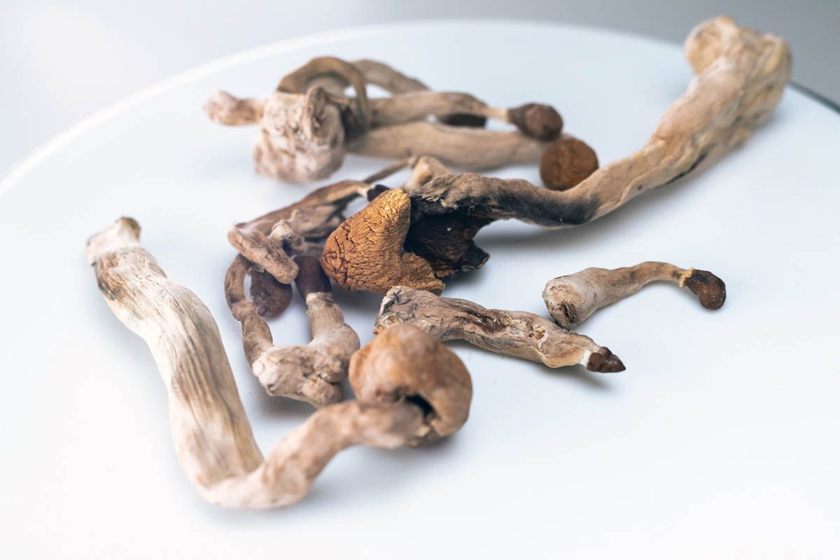 margic mushrooms margic mushrooms